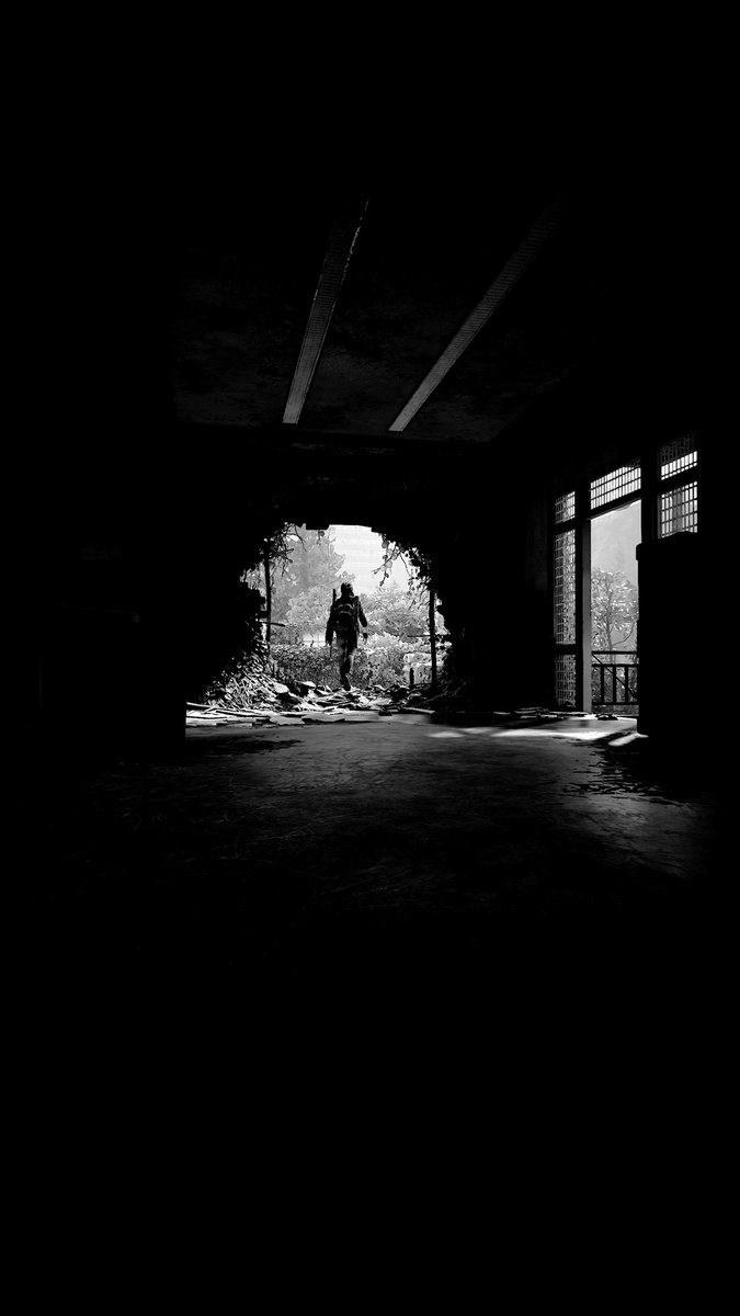 The Last of Us 2 (PS4 photo mode)Phone background mini-thread02 // B&W