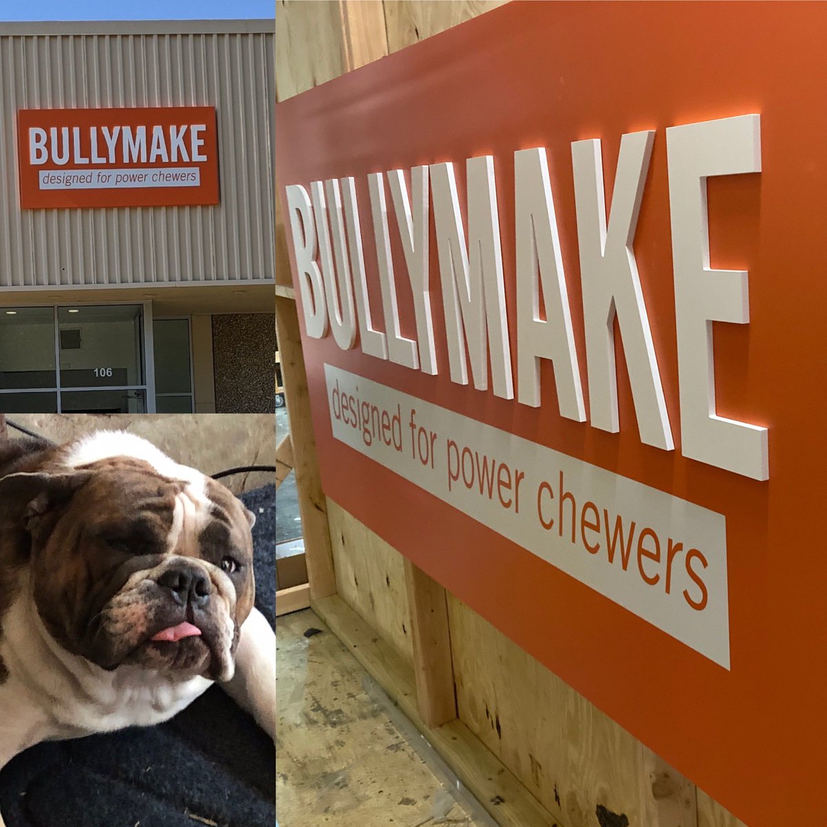 Exterior dimensional sign for <a href="/bullymake/">BULLYMAKE</a> . Check out  their monthly box subscriptions for power chewers...like Gus. 
#dfwexteriorsigns #signsnowplano #signsnowdallas #bullymake #dailydoseofgusthebus