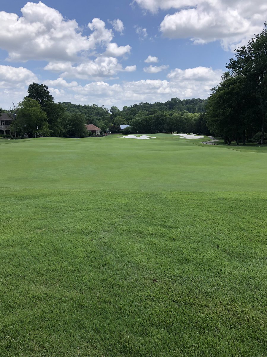 Middle TN - Meyer Zoysia treated with Extreme Green 16 and Rhizomate! #GreenSugar #PlantHealth