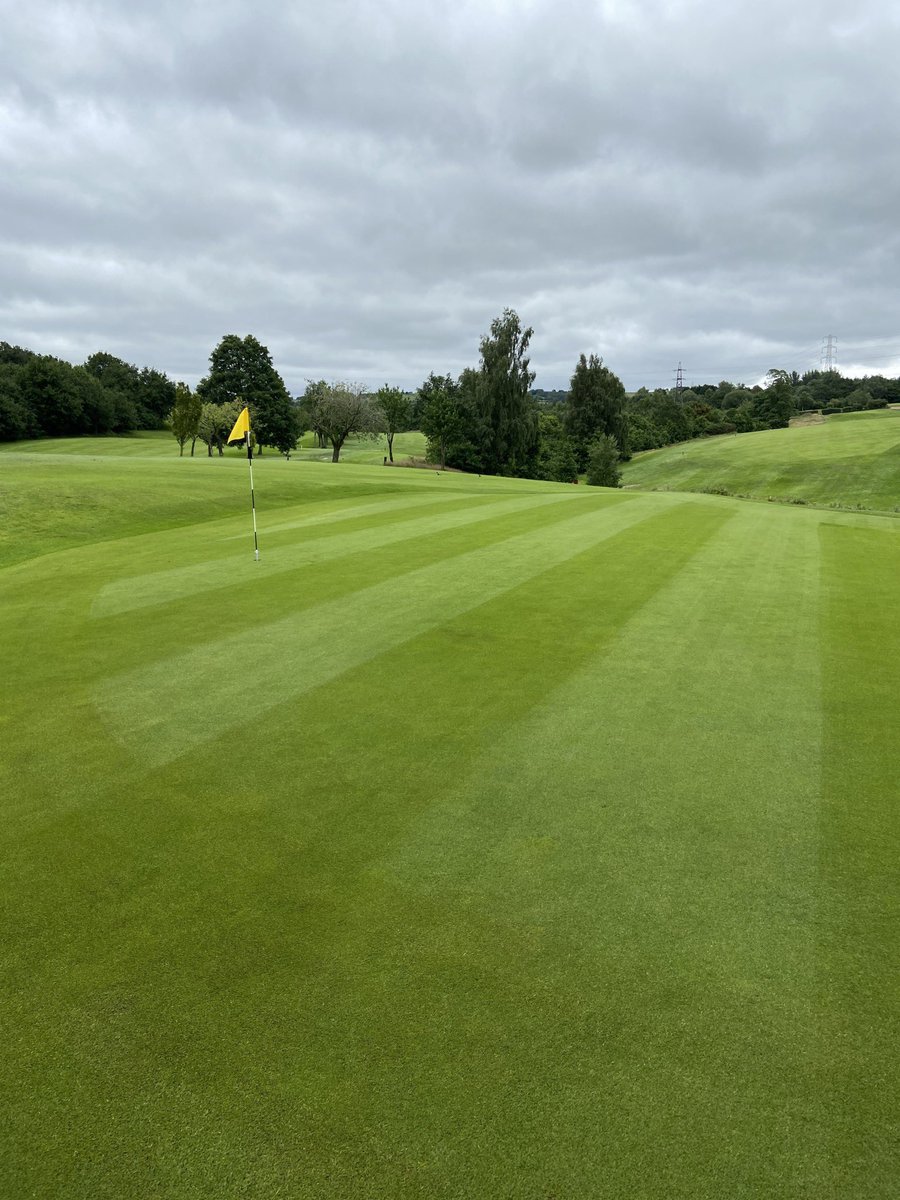 JHorrocksPGA's tweet image. Who’s ready for Club Champs this weekend @Breightmetgc 🙋🏽‍♂️✋🏽 #panicbuying #Provs #PinnacleGolf