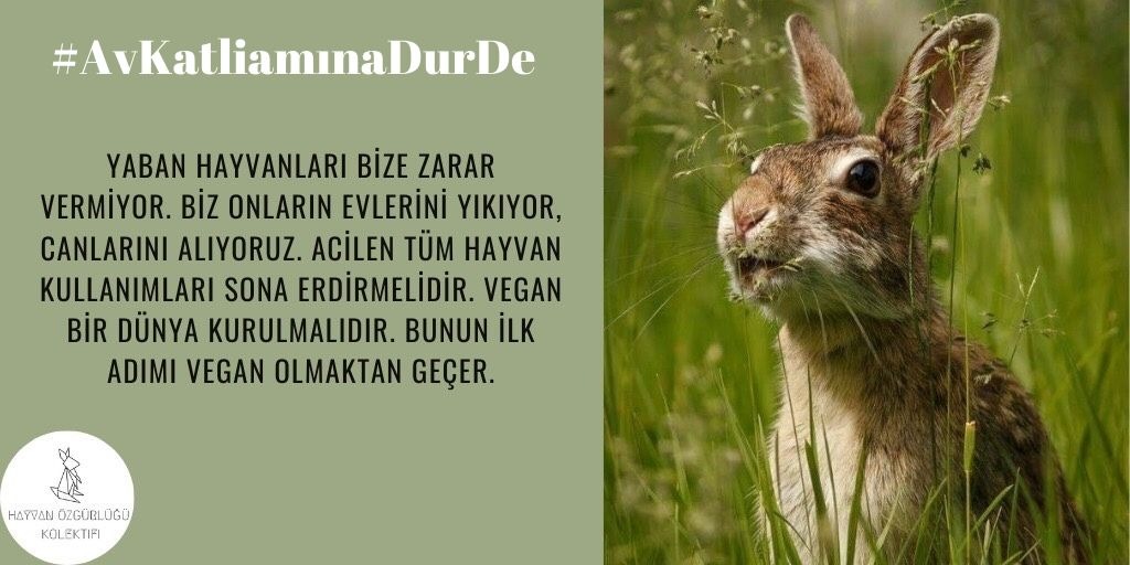 PnarOztas's tweet photo. Avcılık tamamen bir katliam! Her canlının yaşama hakkı vardır. #AvKatliamınaDurDe https://t.co/7DmGrRBf3d