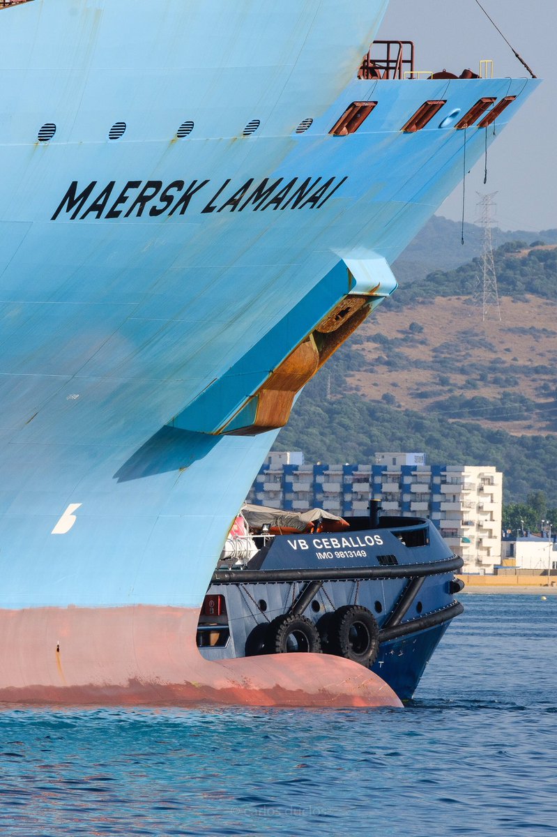 Proa X2  🚢  Bow X2 #proa #bow #blueships #maerskships #vbceballos #maritmaersk #maersklamanai🚢 #containership #cargovessel #tug #harbour #algecirasport #fujinon100400 #fujifilmxt3