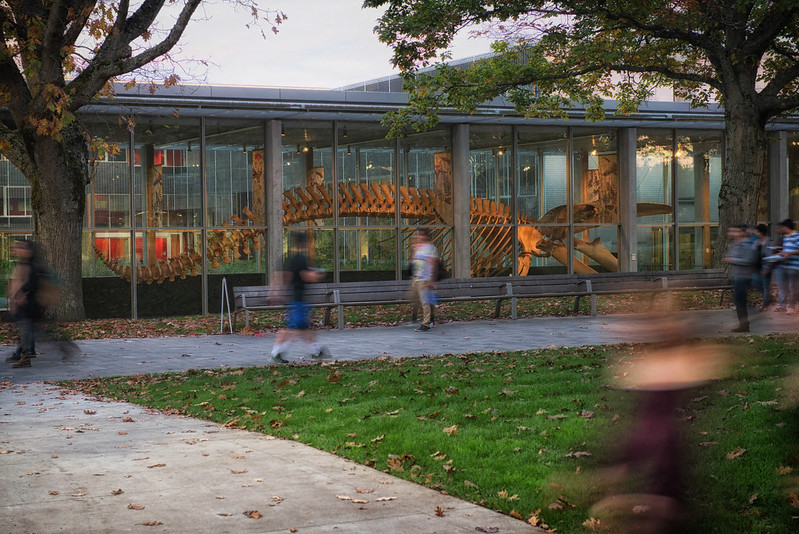 UBCevents's tweet photo. On July 15, join the first Beaty@Home from inside the museum! During this virtual visit, you’ll see and learn about real museum specimens, live from the Discovery Lab, including shark specimens and a great horned owl.

For more info, visit: https://t.co/aiYcRGRCAz https://t.co/oqazoNYrof