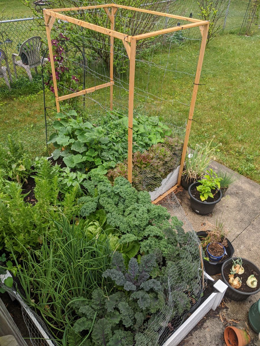 InsideGeotab's tweet photo. This summer, many of our #Geotabbers have been showing off their green thumbs. Take a look at what's growing in their gardens🌱 ⬇️
#GeotabGOesRemote https://t.co/2CmeyCb94c