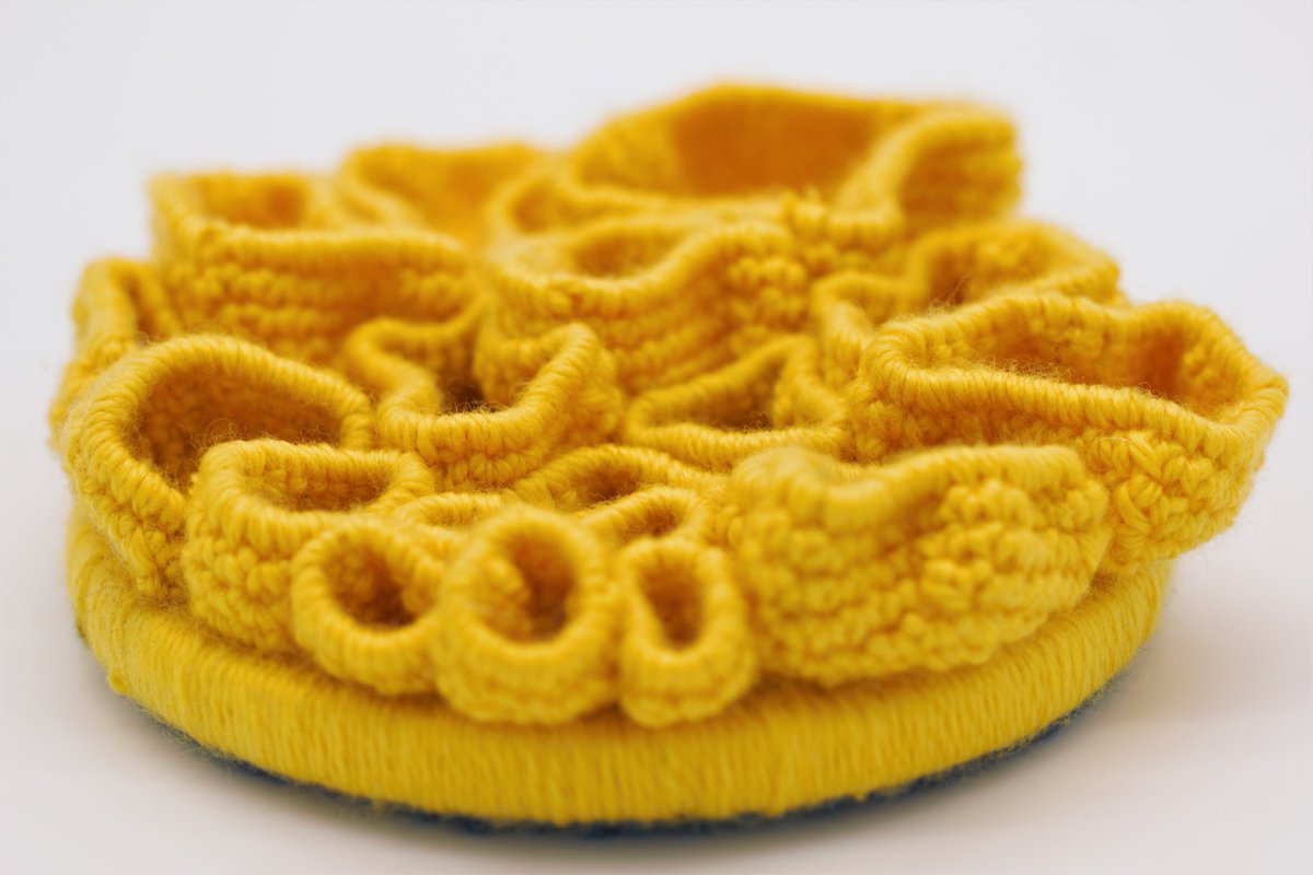 Lynlow_design's tweet photo. #häkeln #neuesprojekt #Textileart #textileartwork #textilkunst #häkelkunst #crochetart #Recyclingkunst #recyclingart #meeresboden #wohndeko #wandkunst #upcyclingkunst #meereskunst #ozean #greatbarrierreef #reef #coral #Korallenriff #korallen #ArtistOnTwitter https://t.co/BNehAl7jHe