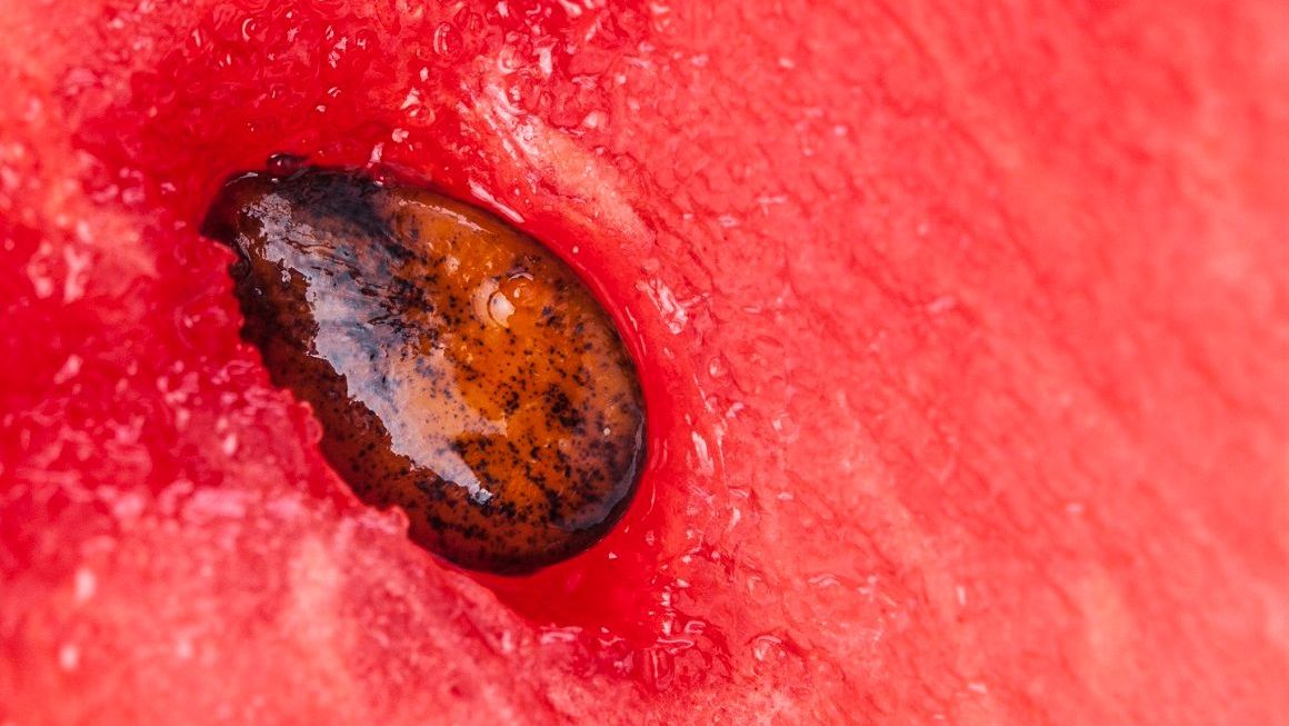 Can you guess what smoothie is coming back next week? Here's a hint... 🍉 🍉