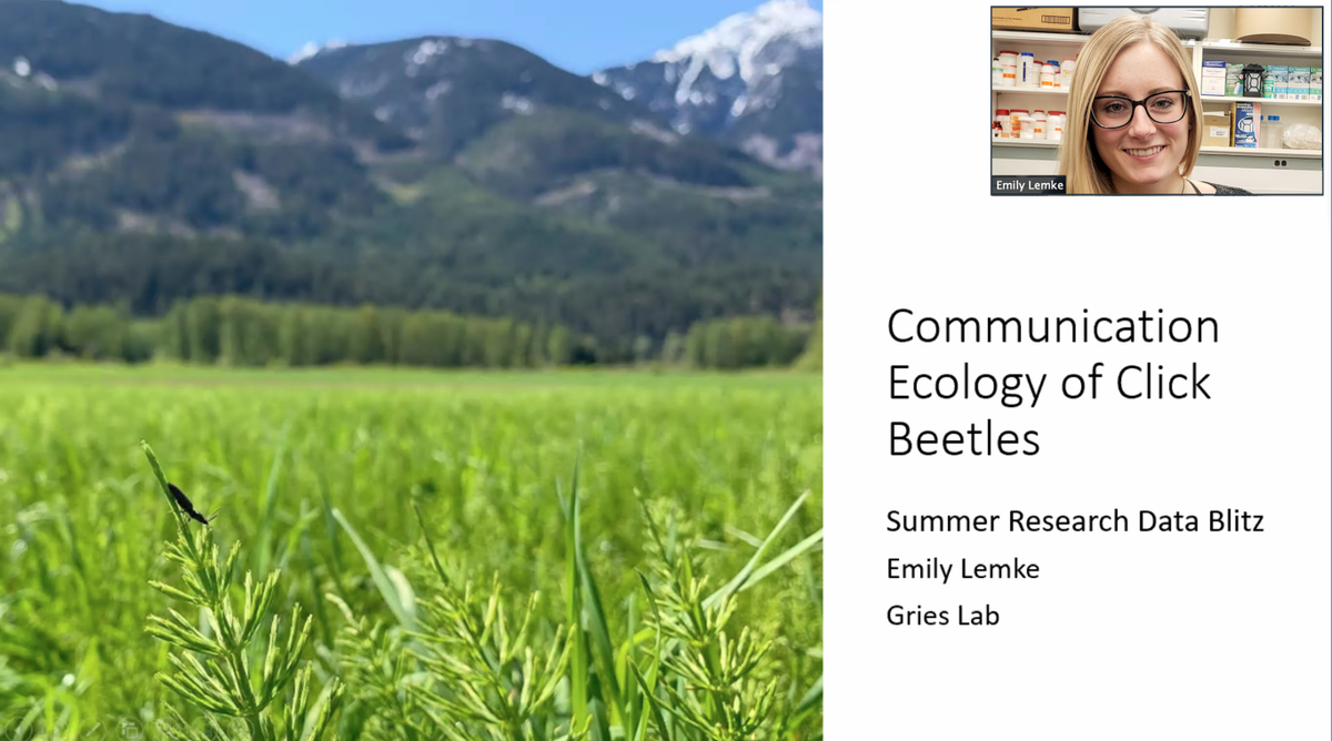GriesLab's tweet image. This week we heard a #datablitz from @EmilyLemke15 about the exciting results of her MANY field studies. Forget counting click beetles you&apos;re going to be better off with a graduated cylinder.

#GriesyFridays #ThereWillBeSweetsAgainSoon