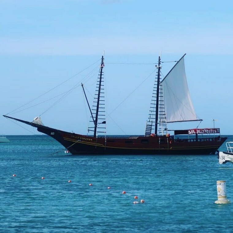 ParoDeeJay's tweet photo. Arrrrr you ready for pirate adventures? Today’s #CrownPrincess vlog finds us hitting the high seas in #Aruba with #JollyPirates!! :D #PrincessCruises #JollyPiratesAruba #CarryYourCup #ComeBackNew https://t.co/PFdHJS1nuG