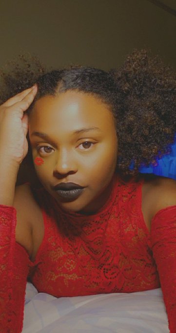 HBK’s pics and videos