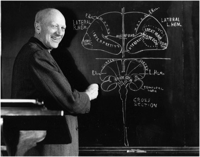 Neurosurgeon Wilder Penfield found while operating on the brains of epileptics, he would electrically stimulate different areas of their brain cells. To his surprise, he found that when he stimulated the temporal lobes the region of the brain behind the temples)