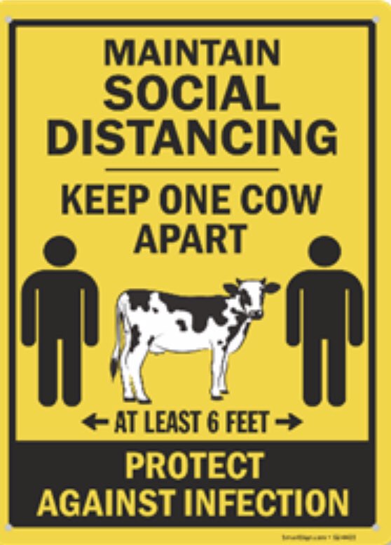 ryanmdairy's tweet image. 