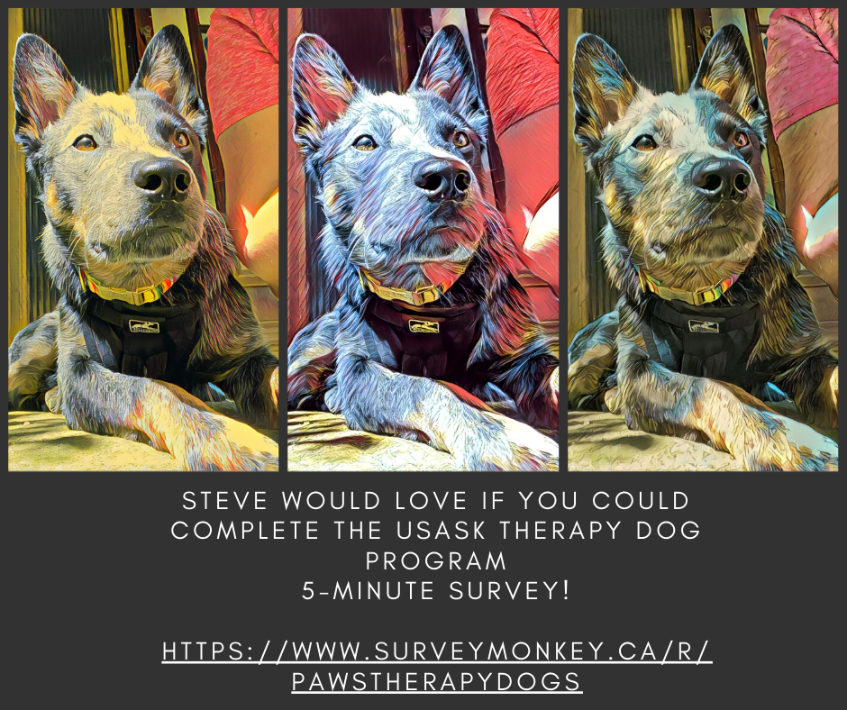 PAWSYourStress tweet media