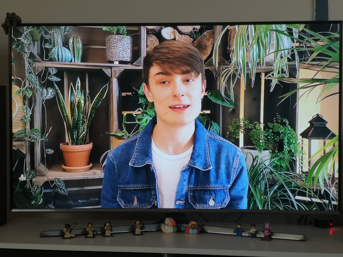 annod 🌱🌻🦋🐝🐞🌴 tweet media