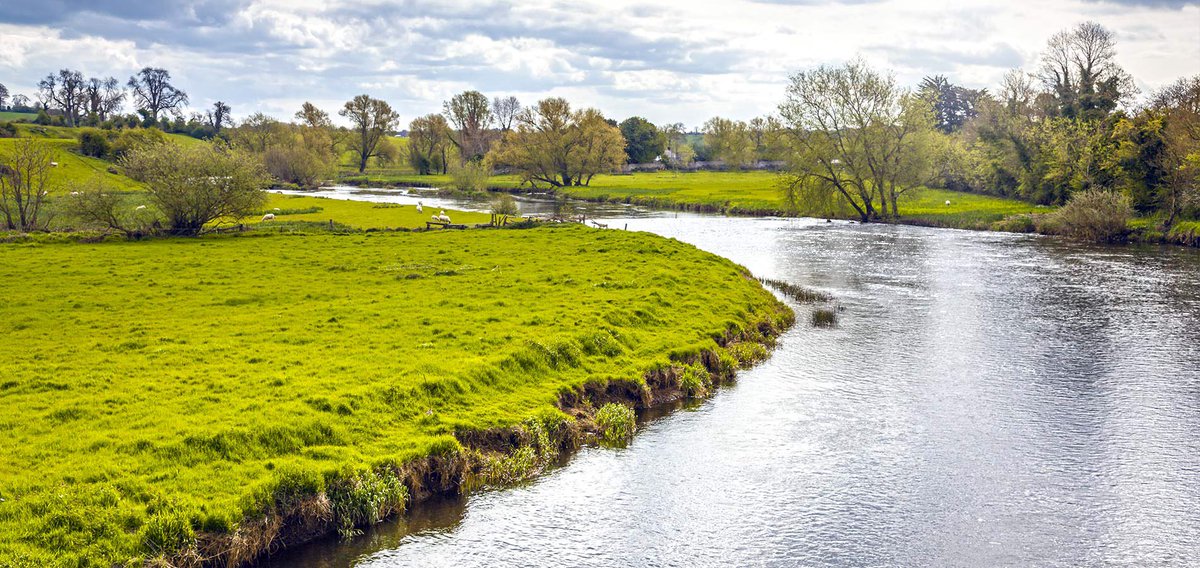 “Emer, the daughter of Fergal Manach from the Gardens of Lugh near the mystical river Boyne, has agreed to give you a try out”. “Fergal Manach, what’s he like?” asks Cuchulainn. “Manach means ‘Cunning’ so we presume he is a bit tricky, but don’t worry about that  #CattleRaid