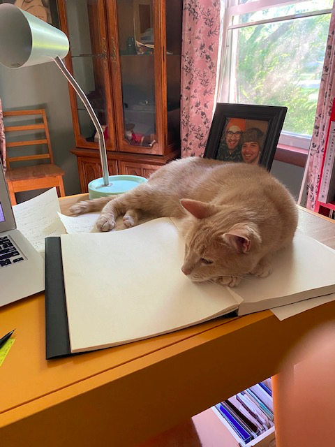 Drips's tweet photo. Sharing our teams furry friend this Friday in honor of #NationalKittenDay 🐱
.
#startup #techcompany #marketingtools #salestools #entrepreneurlife #akron #techstartup #instagood #cle #cleveland #dripsday #techstartups #motivationalquotes #podcast #catsofinstagram #cats #catsofig https://t.co/xRaPdORlpU