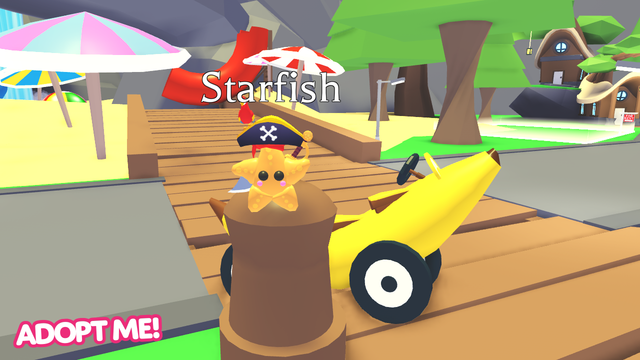 Adopt Me On Twitter Please Look At This Tiny Parrot On Top Of This Tiny Starfish Pirate Thank U Banana Car For Scale