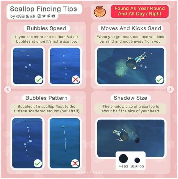 ketchupclubb's tweet photo. a guide to swimming: 🐟🤿 https://t.co/767loUSCll