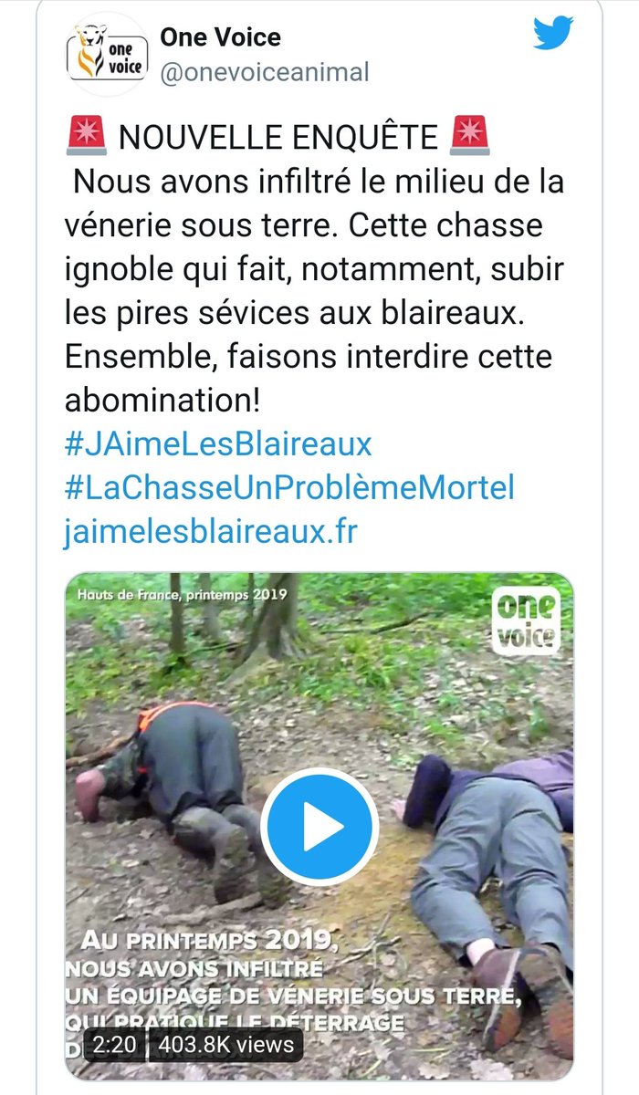 De plus, quand je regarde comment est posée la question...En effet, vous ne donnez aucune explication sur le but de ses prélèvements donc, moi, à la question "êtes vous pour ou contre le massacre des renards", j'aurai tendance à dire que le panel va répondre "contre" 