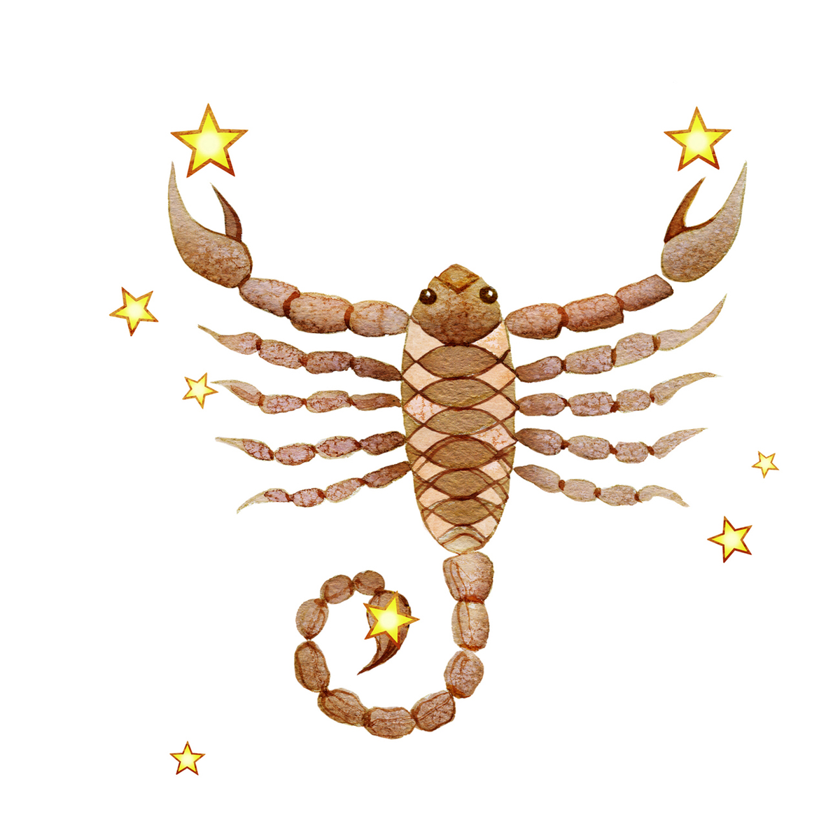 SEXSTROLOGY's tweet photo. #Scorpio is suspicious of anyone who seems too good to be true True or False

#TeamScorpio #horoscopes #relationshipgoals #astrology #zodiac #Healing #Theta #Reiki 
#zodiacsigns #astrologia, magi, #horoscopes #Clairvoyant #Numerology #NatalChartReading https://t.co/8snD2L2wdE