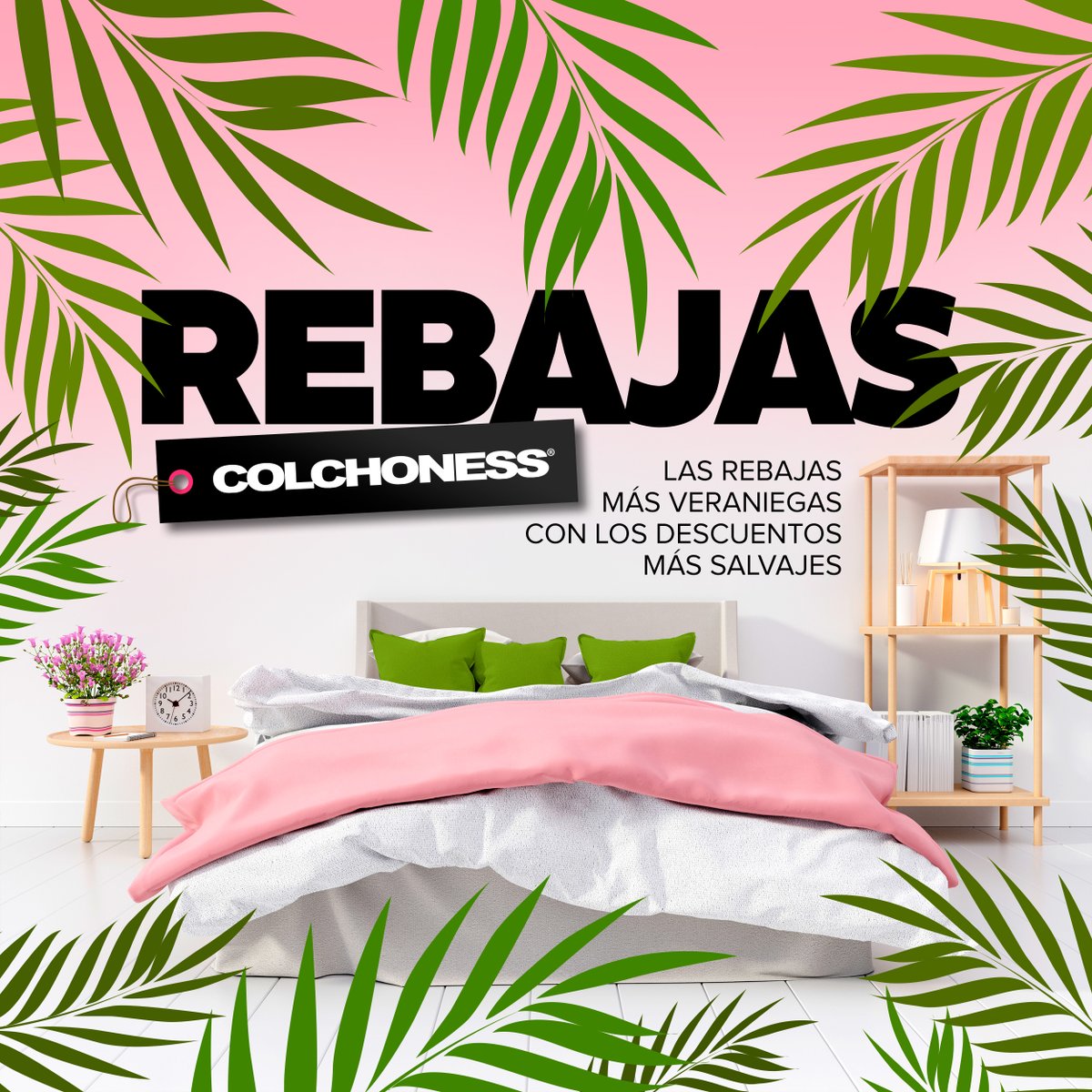 BiGSOFASCordoba's tweet photo. 🌴🌴 ¡#REBAJAS #COLCHONESS®! Las Rebajas más veraniegas con los #descuentos más salvajes en #colchones de primeras marcas. Aprovecha y compra en #BiGSOFASS® #Córdoba tu nuevo #colchón o equipo de #descanso mucho más #barato. https://t.co/KBGqw2osOO https://t.co/WTAt5khhYu