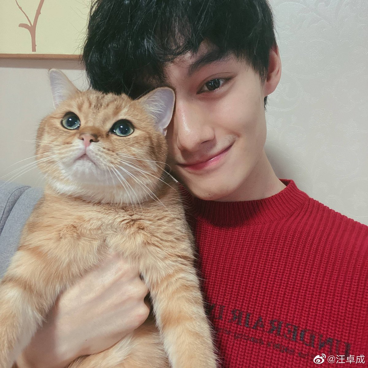 daily danta (@daily_danta) on Twitter photo 