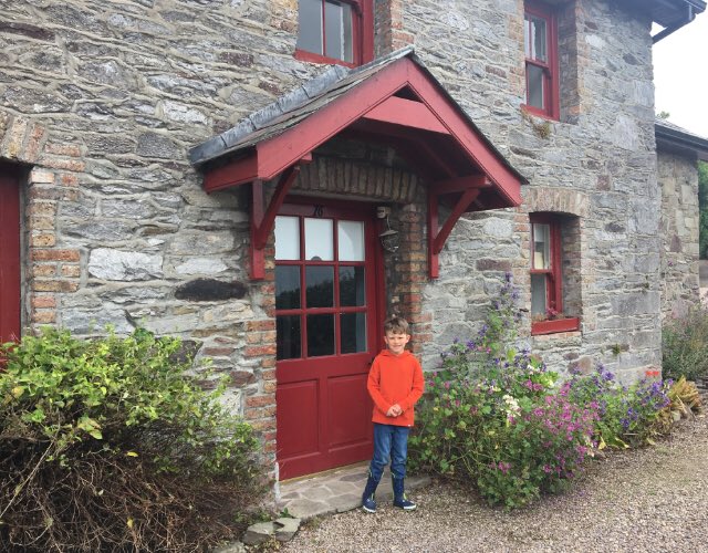 Deborah Hickey 🐝 tweet media