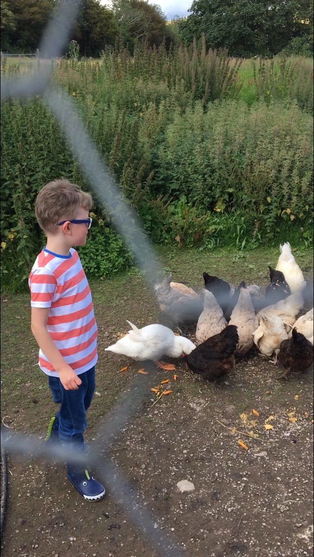 Just had a gorgeous few days on the magical grounds of <a href="/BarnabrowHouse/">Barnabrow House</a>. It’s so beautiful and a wonderland for kids! There are stunning gardens - great for hide &amp; seek, donkeys, chickens and even a few fairies 🧚‍♀️🧚 A beautiful base for a wonderful #Cork staycation ❤️ <a href="/pure_cork/">Pure Cork</a>