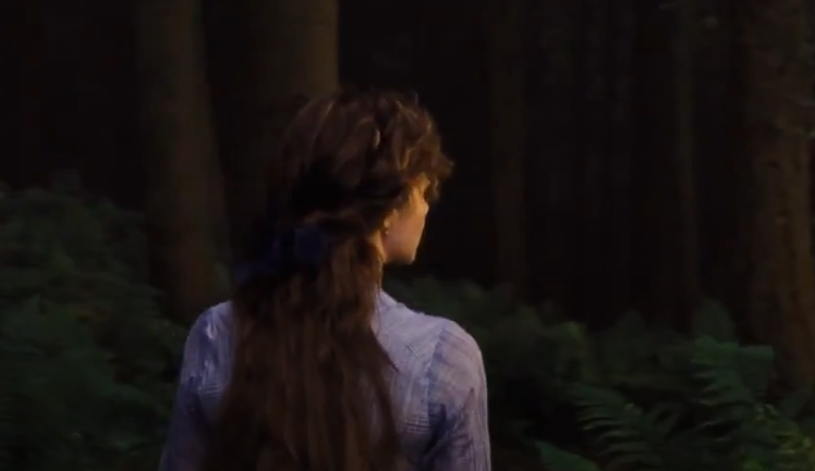 Another aesthetic shot wow I really am a cottagecore/forestcore bisexual witch huh