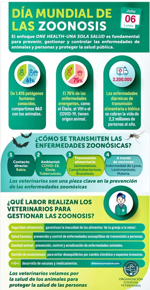 Oscar Redondo tweet media