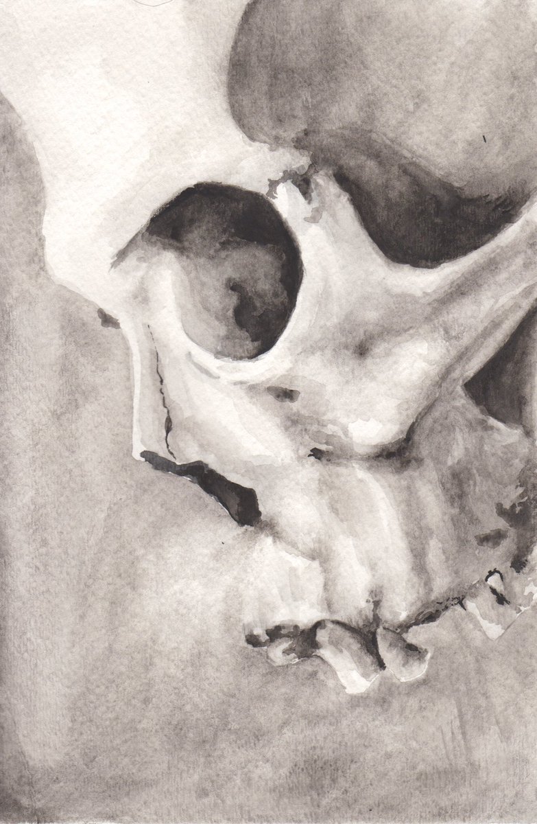AntonioHolguin's tweet photo. Brooding 10 —

#skull #skulls #skullart #skullartwork #skulllove #skullwork #skullworkers #loveskulls #sketches #sketchbook #watercolorsketch #watercolorskull #artwork #art #watercolor #painting #watercolorpainting #dark #darkart #macabre #macabreart #illustration #dope #dopeart https://t.co/4RJ72LYtIc