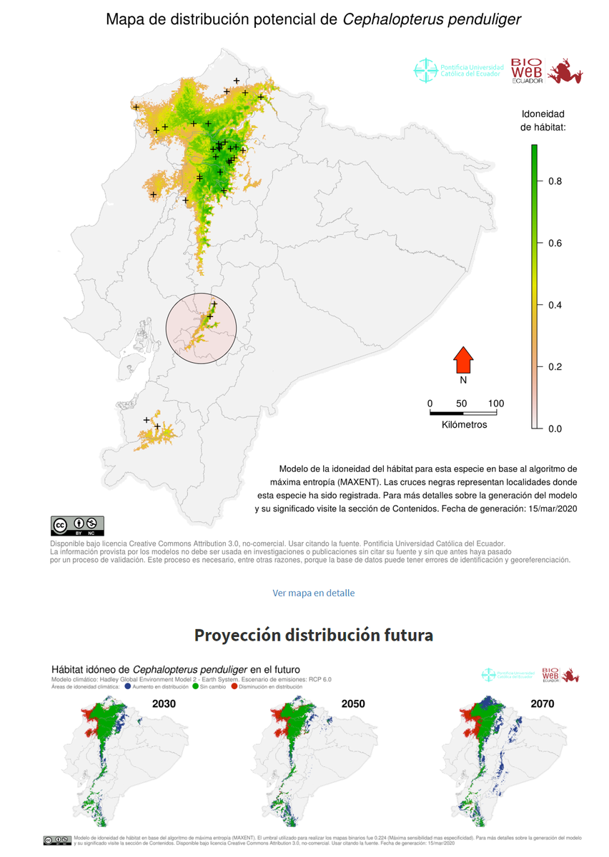 ClandestineBird's tweet photo. Si quieren leer algo más detallado acerca del Bocinero y enfocado en Ecuador con mapa nacional y algunos detalles pueden visitar este enlace de #BioWeb: https://t.co/jrYbnpGQZK
La zona donde Fraser colectó en 1858s/59s la encierro en un círculo de un mapa tomado del enlace. https://t.co/cqf4w1W7bn