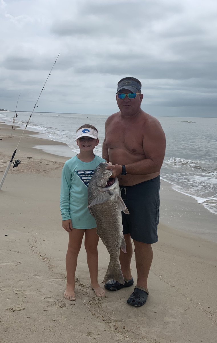 Morgan baited the hook, casted and landed this big black drum in the surf. Dad only picked it up for pictures. Not bad for a nine year old.