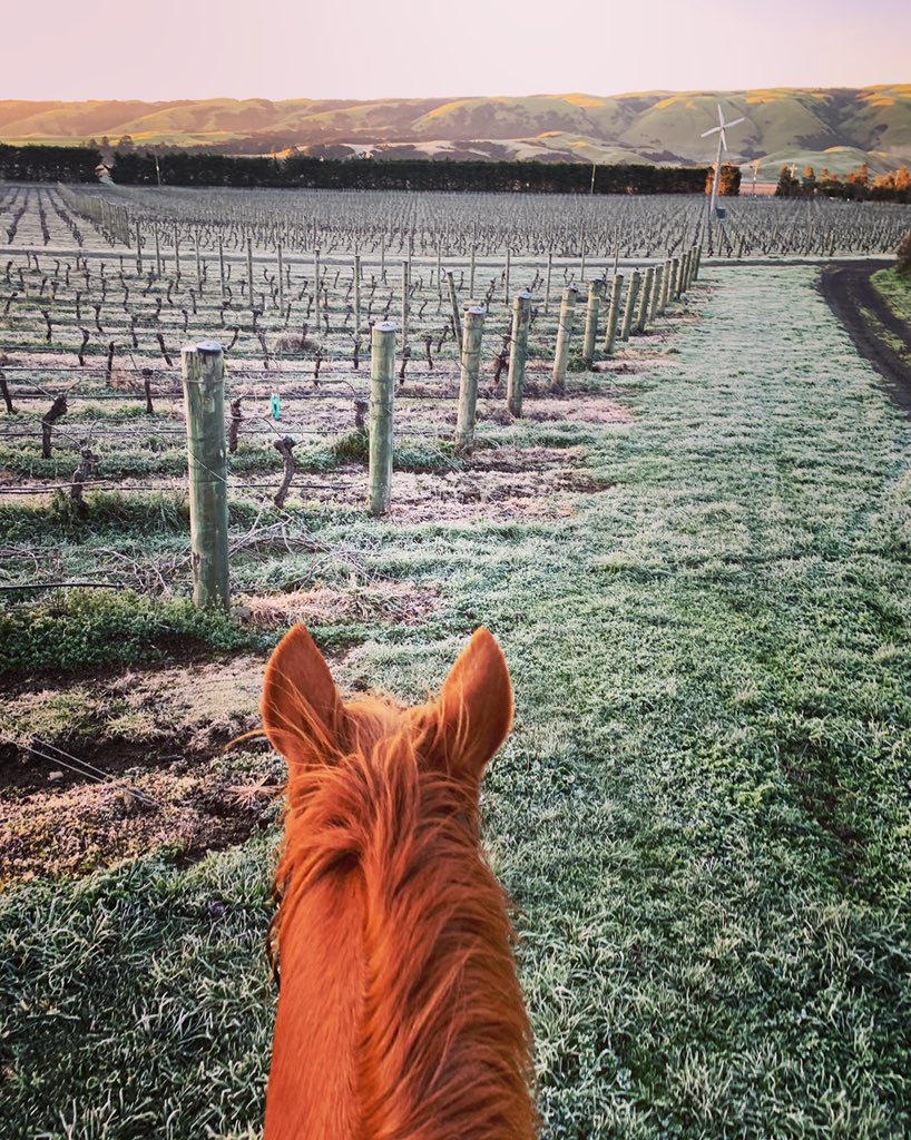 Perfect morning 👌 ❄️ ☀️