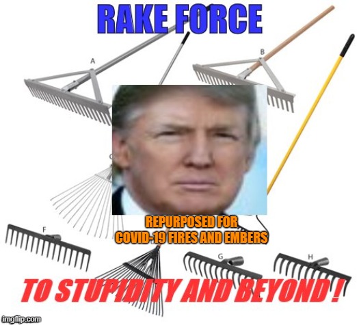 therealwombat1's tweet photo. Hey @realdonaldtrump, So We're Not Going To Close #America Again & You'll Put Out The #Fires "As They Come Out, The #Embers Or Whatever You Wanna Call It"?
How You Gonna Do That, With Some Of Those #ForestFloor #Rakes?
U Repurposing Them?😂 🤣
#DotardInChief
#RakeForce
#COVID19 https://t.co/NQHKf6fIEw