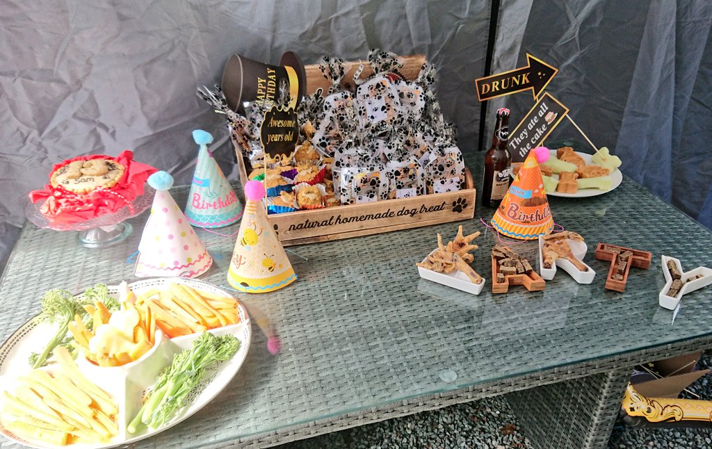 WoofWalkies's tweet photo. Big thank you to @MrsPupCakes for providing today's goods. They went down a treat!

#dogbakery #birthdaycake #woofwalkies #wrexham #northwales #dogsoftwitter #doggydaycare https://t.co/crj4InASai