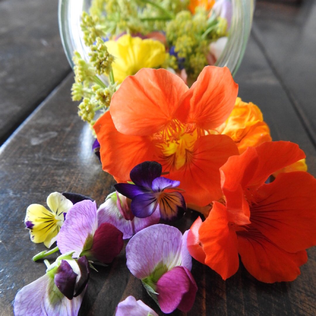 Take 20% off everything right now because 2020 is a write-off 😑 Make the best of the rest of summer with our edible flowers 😁🌺👨🏽‍🍳

DM to order 👨🏻‍🌾

#ygkfarmtotable #takeitbackhome #ygk #ygkeats #ygkfood