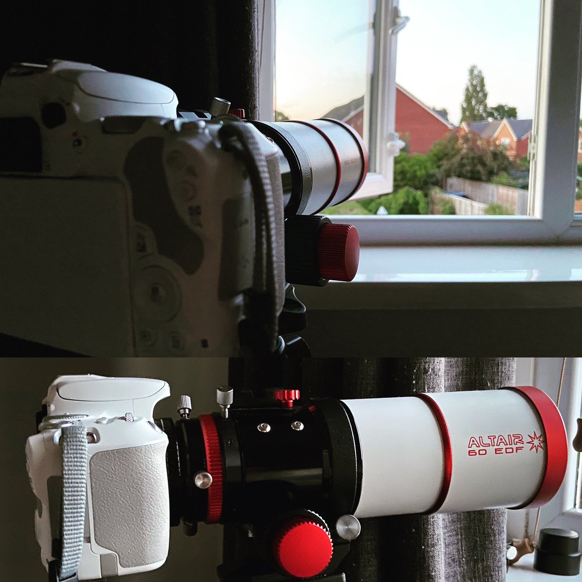 Stacey 🌻 tweet media