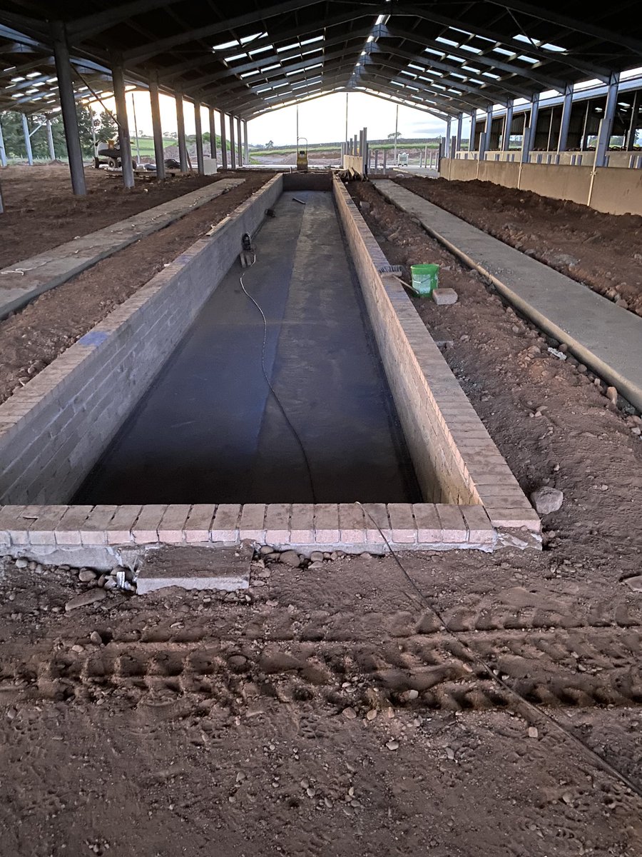 smallholmburn's tweet photo. Progress since the first of June has been awesome. Good effort from the team of T&amp;G Carruthers.@graemecarr1231 It will be your turn soon @dairymaster @McGrathTed https://t.co/cYJ4U8PLV0
