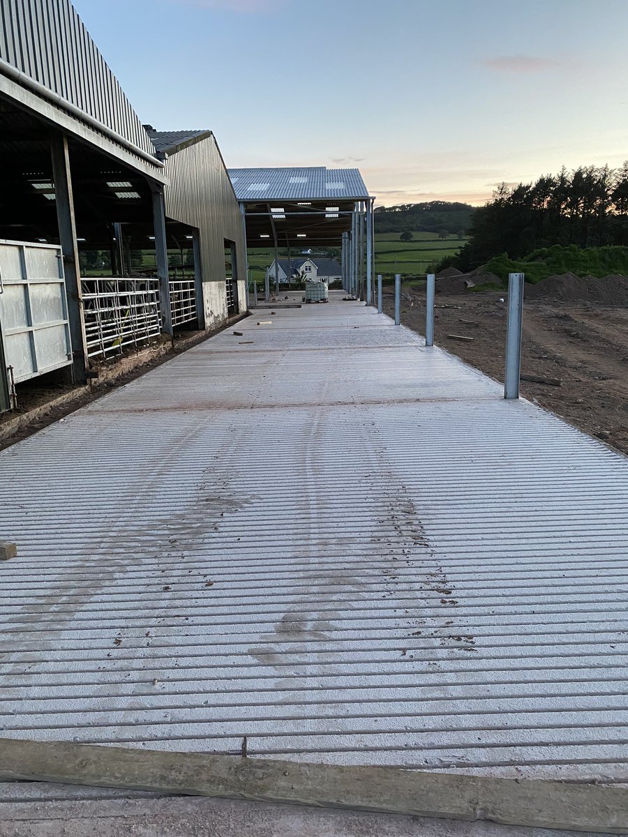 Progress since the first of June has been awesome. Good effort from the team of T&G Carruthers.@graemecarr1231 It will be your turn soon @dairymaster @McGrathTed