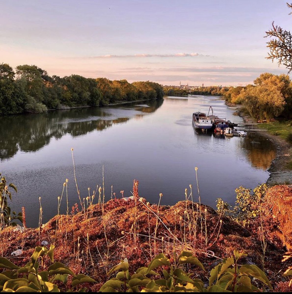 Igers Anjou tweet media