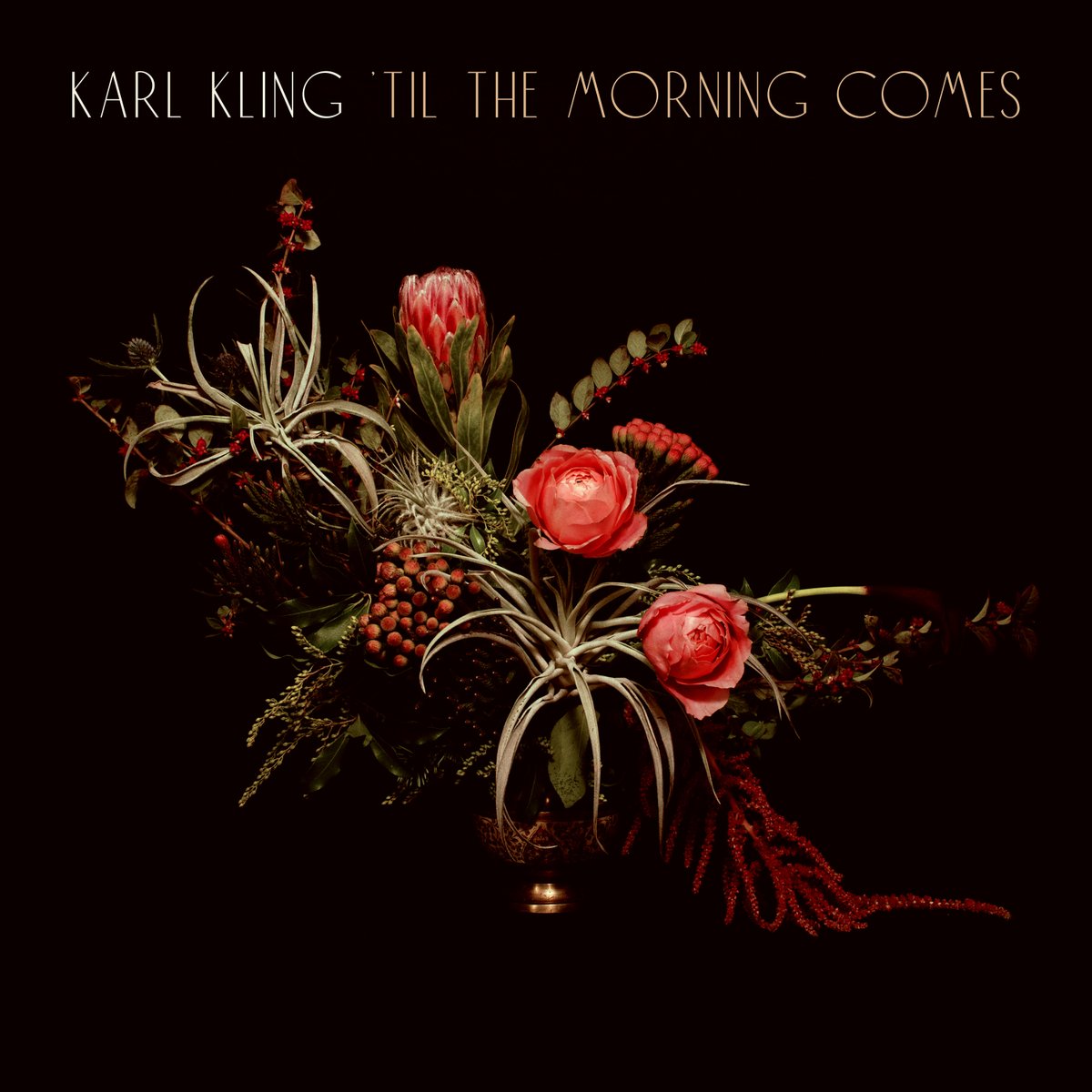 New bandcamp exclusive track "til the morning comes" up now. Have a listen, put it in a mix, whatever ya wanna do. 
karlkling.bandcamp.com