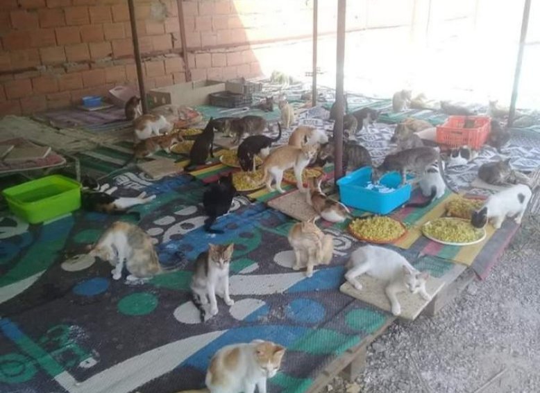 Rouiba Hashtag On Twitter