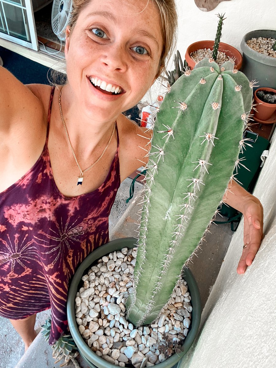 amypeniston's tweet image. console.log("New #dotnotes!")
console.assert(today === "National hug a #cactus day")
😂 😂 TGIF, it's wine time. 🥂
Psst...download here ➡️ amypeniston.com/downloads/Java…
#100DaysOfCode #WomenWhoCode #JavaScript