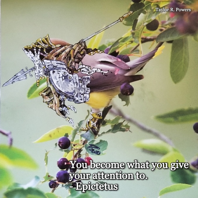 Taylor Ryan Powers tweet media