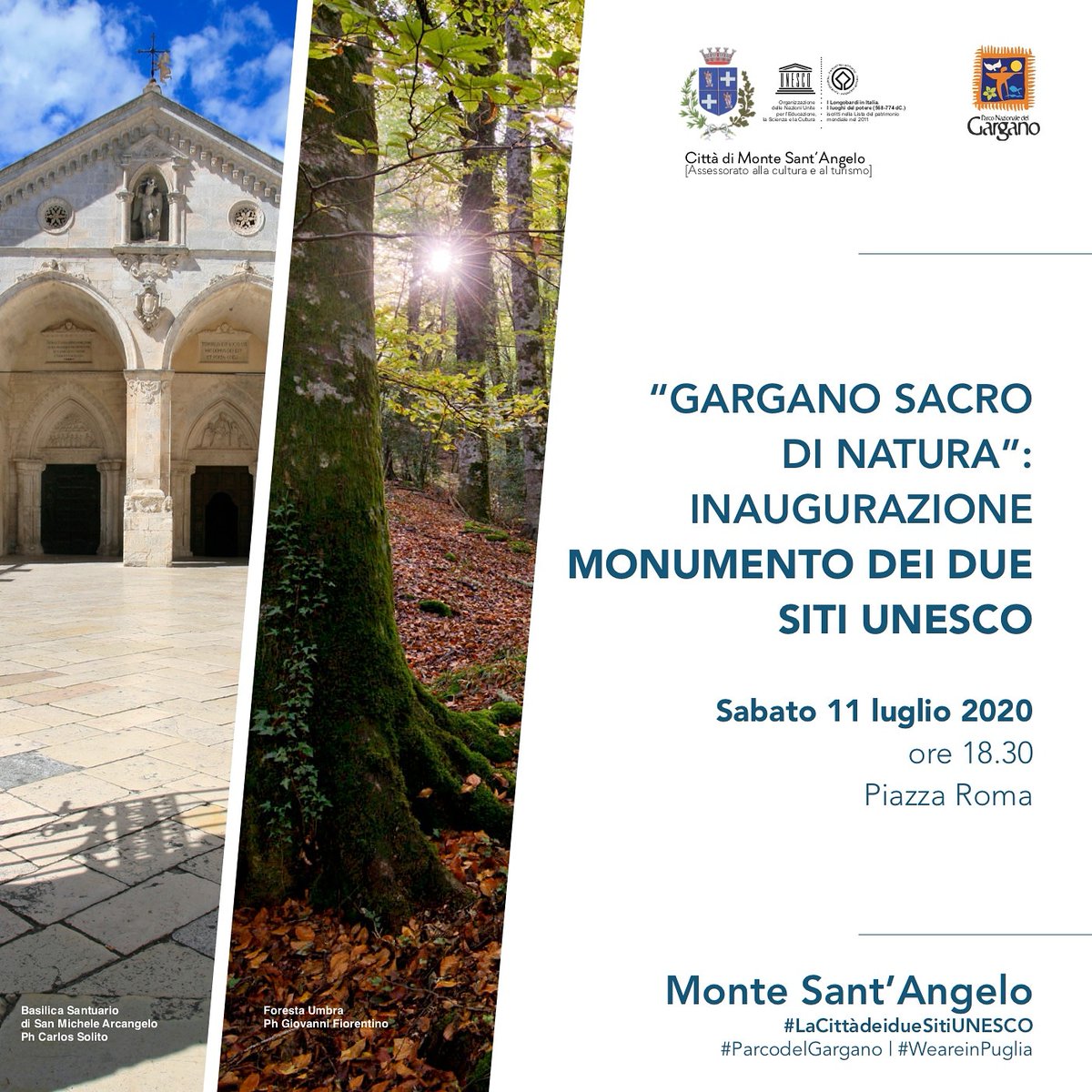 Parco del Gargano tweet media