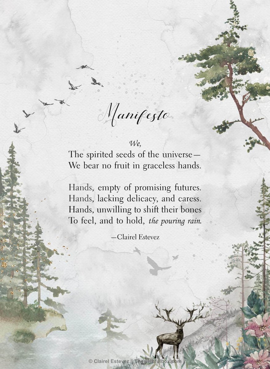 ⊱♡⊰ Manifesto ⊱♡⊰ 
Instagram: instagram.com/clairelestevez/

Facebook: facebook.com/Thewishfulbox/

#poetry #poems #quotes #literature #books #nature #rain