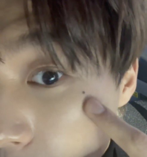 Jeno as the cat emojis; a very cute thread because i miss jeno. please come home 