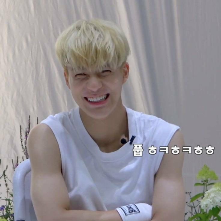 Jeno as the cat emojis; a very cute thread because i miss jeno. please come home 