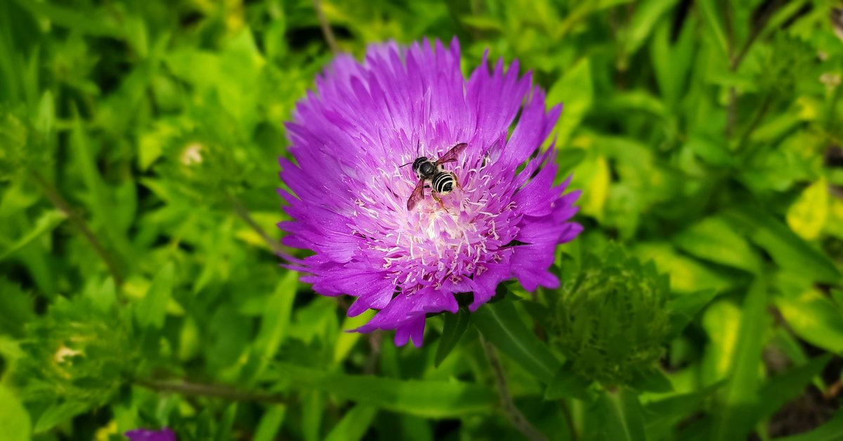 Sarah O'Fee tweet media