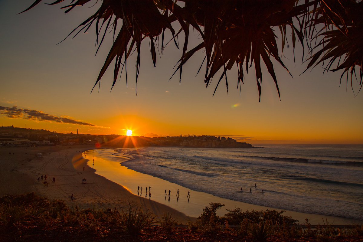 Dan Wilkinson AKA @hotndelicious 🎞🌊✨ tweet media